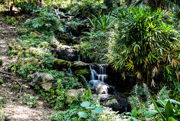 Long Exposure of a Waterfall in Rainbow Springs