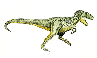 Tyrannosaurus Rex