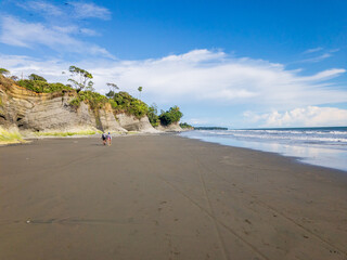 untamed tropical beach with palm trees © PlataRoncallo