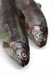 FRESH RAINBOW TROUT salmo gairdneri AGAINST WHITE BACKGROUND