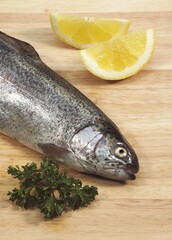 FRESH RAINBOW TROUT salmo gairdneri WITH PARSLEY AND YELLOW LEMON