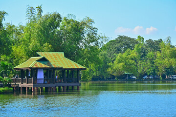 Fototapeta na wymiar Lake and trees at Ninoy Aquino parks and wildlife center in Quezon City, Philippines