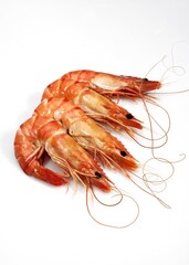 PRAWNS AGAINST WHITE BACKGROUND