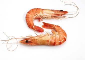 PRAWNS AGAINST WHITE BACKGROUND