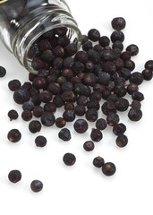 JUNIPER BERRIES AGAINST WHITE BACKGROUND
