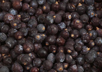 JUNIPER BERRIES