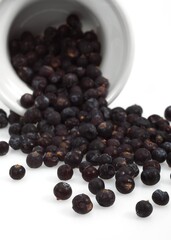 JUNIPER BERRIES AGAINST WHITE BACKGROUND