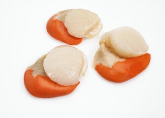 FRESH SCALLOPS pecten maximus AGAINST WHITE BACKGROUND
