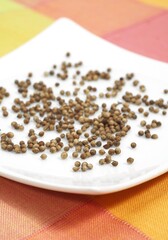 CORIANDER SEEDS coriandrum sativum