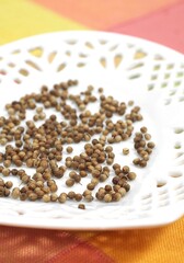 CORIANDER SEEDS coriandrum sativum