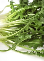 DANDELION SALAD AGAINST WHITE BACKGROUND