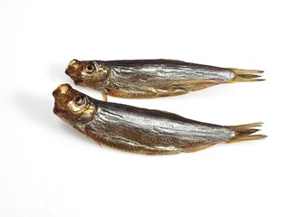 SPRAT sprattus sprattus, SMOKED FISH AGAINST WHITE BACKGROUND