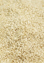 SESAME SEEDS