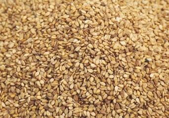 SESAME SEEDS