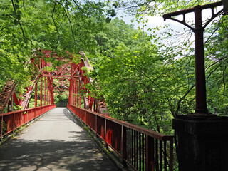 Obraz premium 葉っぱの中の赤い橋。 壱