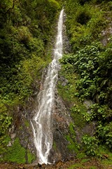 Obraz premium WATERFALLS, MANU NATIONAL PARK IN PERU