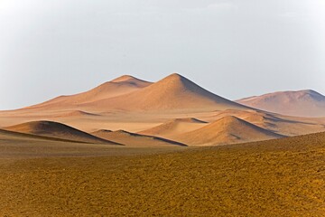 Fototapeta na wymiar LANDSCAPE IN PARACAS NATIONAL PARK, PERU