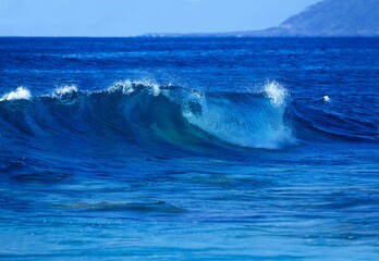 WAVE IN PACIFIC OCEAN, HAWAII