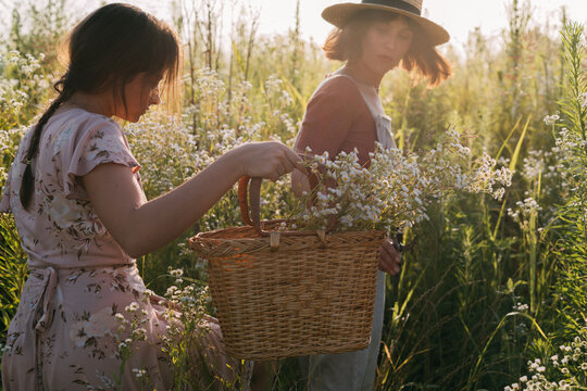 A Beautiful Day for a Picnic