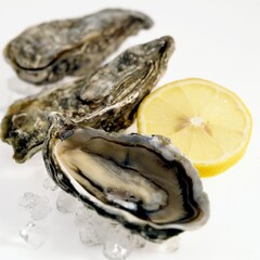 FRESH OYSTERS ostrea edulis WITH LEMON