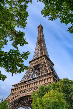 The Eiffel Tower Through Leaves