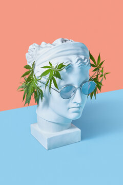 Godness's head with marijuana leaves and glasses.