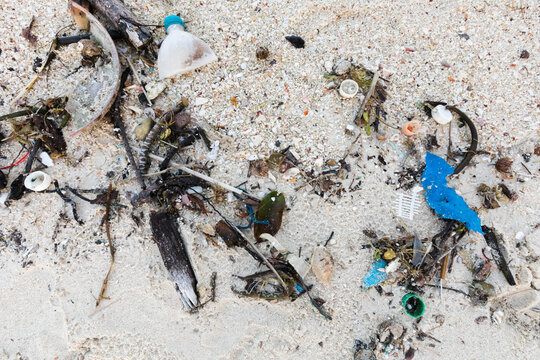 Microplastics on the beach