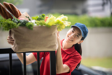 Delivery company worker holding grocery bag, food order, supermarket service, accepting groceries box from delivery woman at home, Fresh organic vegetable delivery
