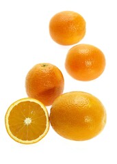 ORANGES citrus sinensis AGAINST WHITE BACKGROUND