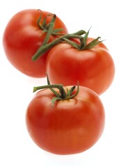 RED TOMATOES AGAINST WHITE BACKGROUND