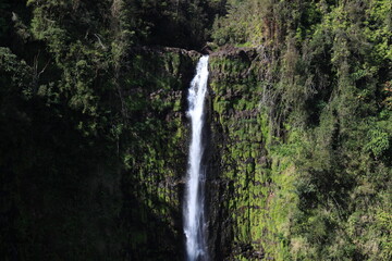 Fototapeta na wymiar Akaka Waterfall in Hawaii