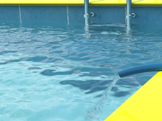 In the pool with clean water, water is poured from a hose.