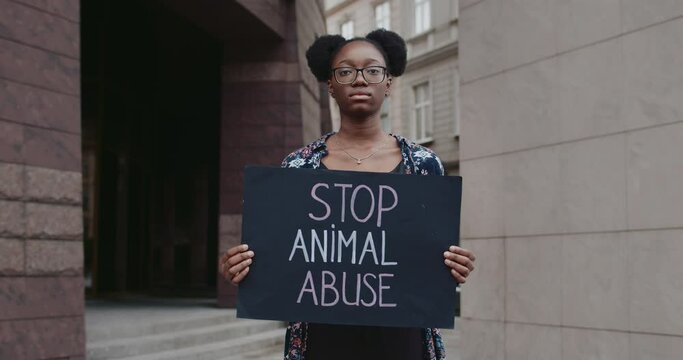 Afro american woman holding carton placard with stop animal abuse writing. Portrait of female animal rights activist looking to camera at street. Concept of social problem