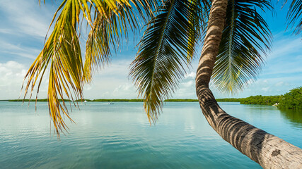 Florida Keys