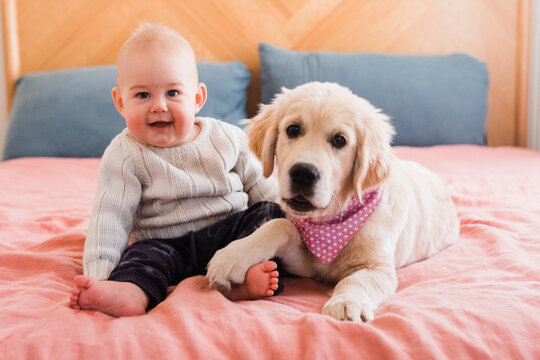 Baby and golden retriever puppy