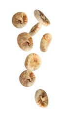 Dried fig fruits falling on white background