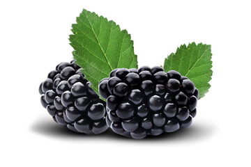 Fresh ripe blackberries with green leaves on white background