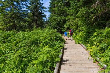 Obraz premium Summer hike in Cascade mountains