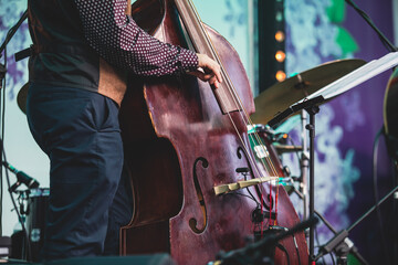 Concert view of a contrabass violoncello player with vocalist and musical during jazz orchestra...