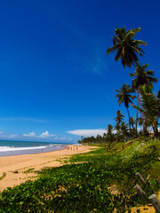 Obraz premium Playa cálida