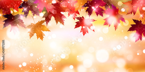 紅葉 もみじ 秋 背景 Wall Mural Wallpaper Murals J Boy 紅葉 もみじ 秋 背景 Wall Mural Wallpaper Murals J Boy