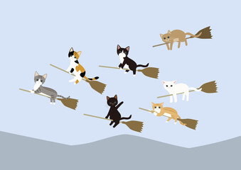子猫の魔女修行　Witch's broom