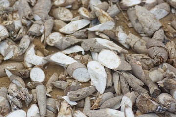 stack of dried cassava