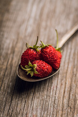 Red ripe wild strawberry in old vintage spoon on the rustic background. Selective focus. Shallow depth of field.
