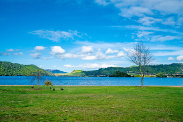 Shoreline at Lake Okareka