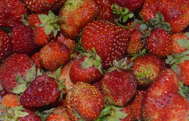 strawberries in a basket