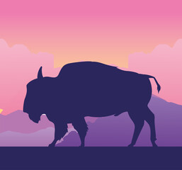 wild buffalo animal in the field landscape © Jemastock