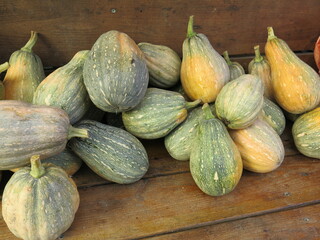 the yummy pumpkins are full of the kitchen table to make delicious meal