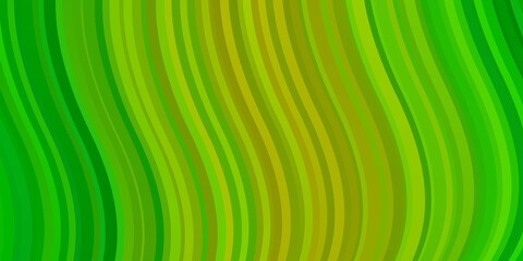 Light Green, Yellow vector backdrop with curves. Bright illustration with gradient circular arcs. Pattern for booklets, leaflets.