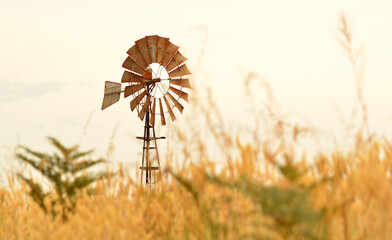 windmill in Australian paddock at sunset - Powered by Adobe